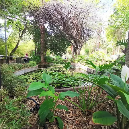 Home2book El Encanto De La Plaza Del Principe סנטה קרוז דה טנריף